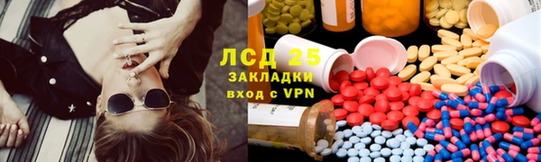 прущие грибы Алзамай