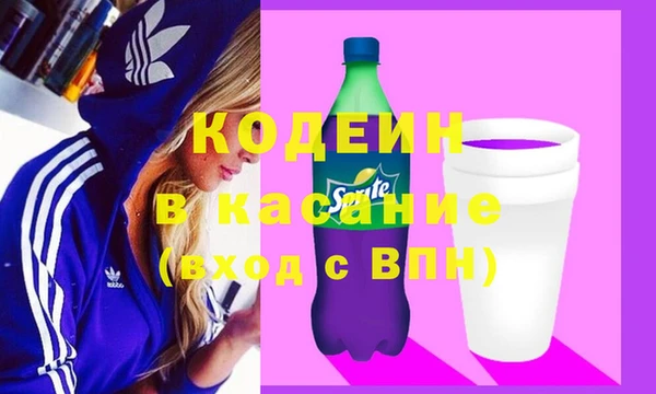 прущие грибы Алзамай