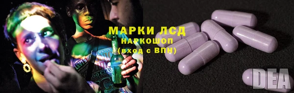 прущие грибы Алзамай