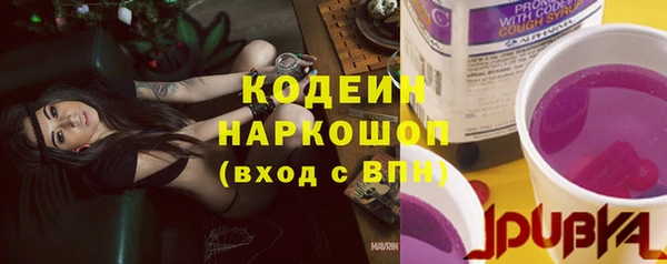 прущие грибы Алзамай
