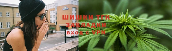 прущие грибы Алзамай