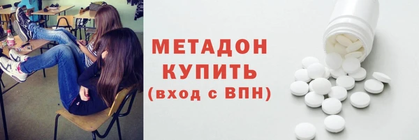 прущие грибы Алзамай