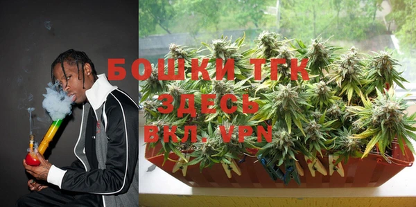 прущие грибы Алзамай