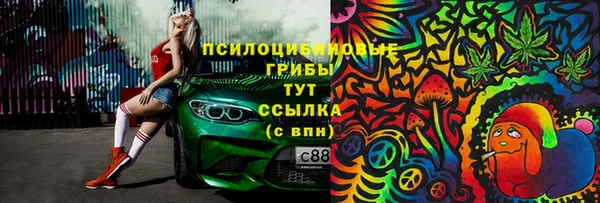 прущие грибы Алзамай