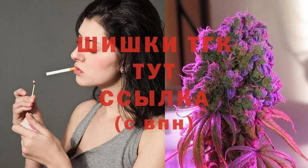 прущие грибы Алзамай