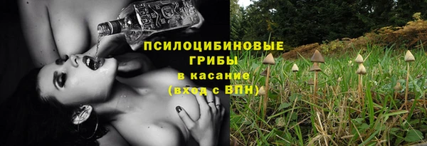 мдпв Алексин