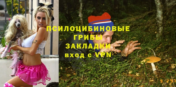 таблы Алексеевка