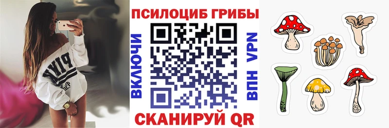 Псилоцибиновые грибы Psilocybe  цена наркотик  Чистополь 